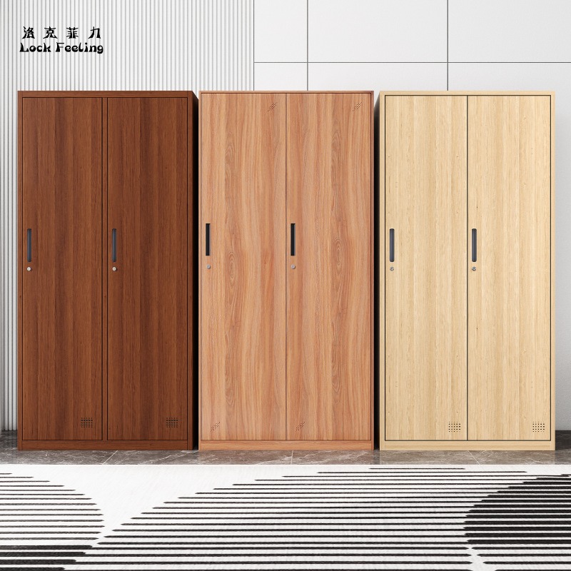 Home Gym Furniture - Çalışan dolabı, yurt, demir gardırop, ev