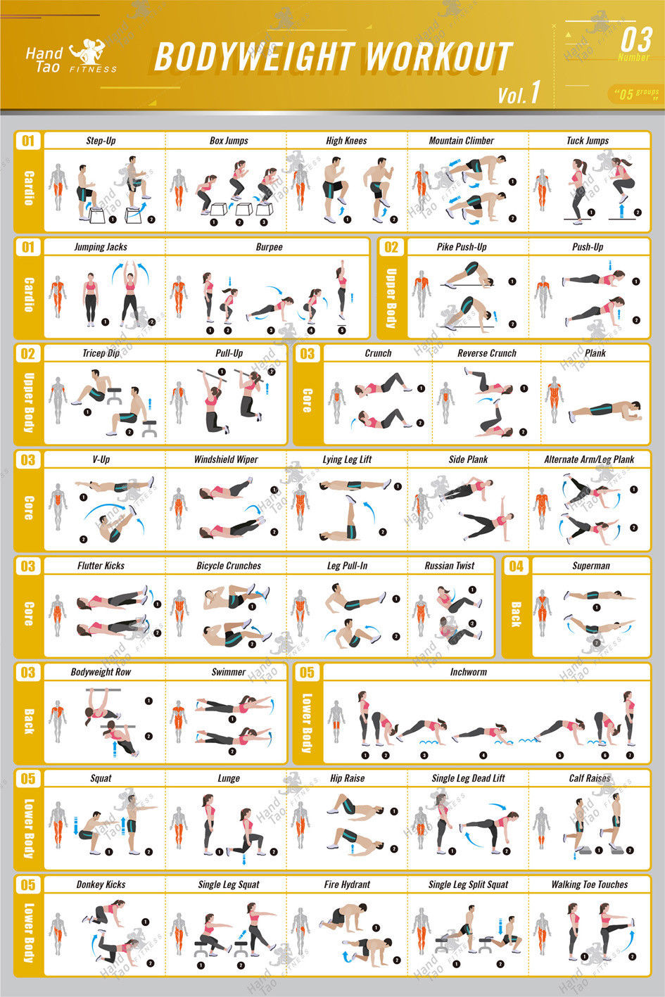 Home Gym Guide - Vücut ağırlığına dayalı egzersiz Egzersiz Vücut