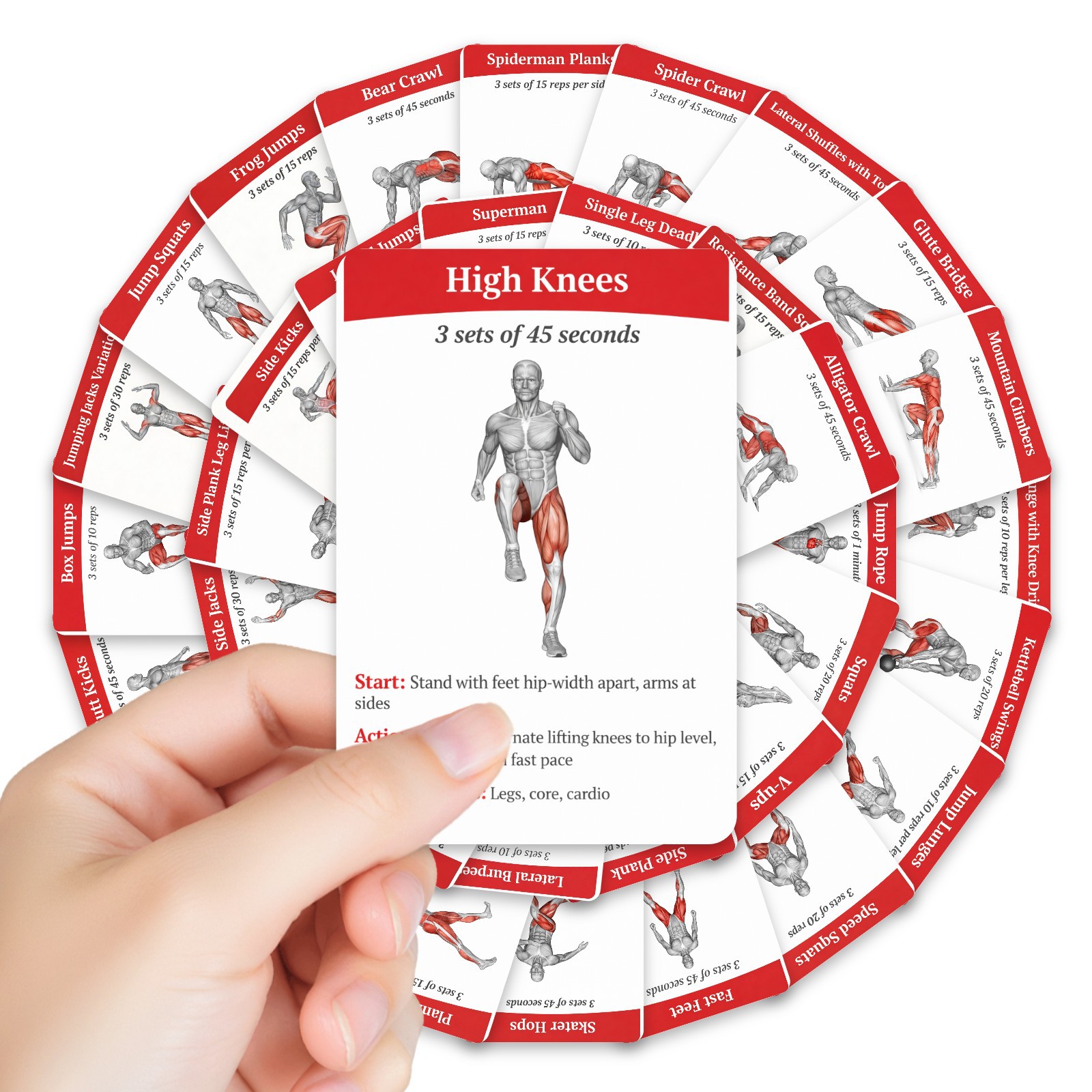 Home Gym Guide - 36 Adet Tam Vücut Yağ Yakma