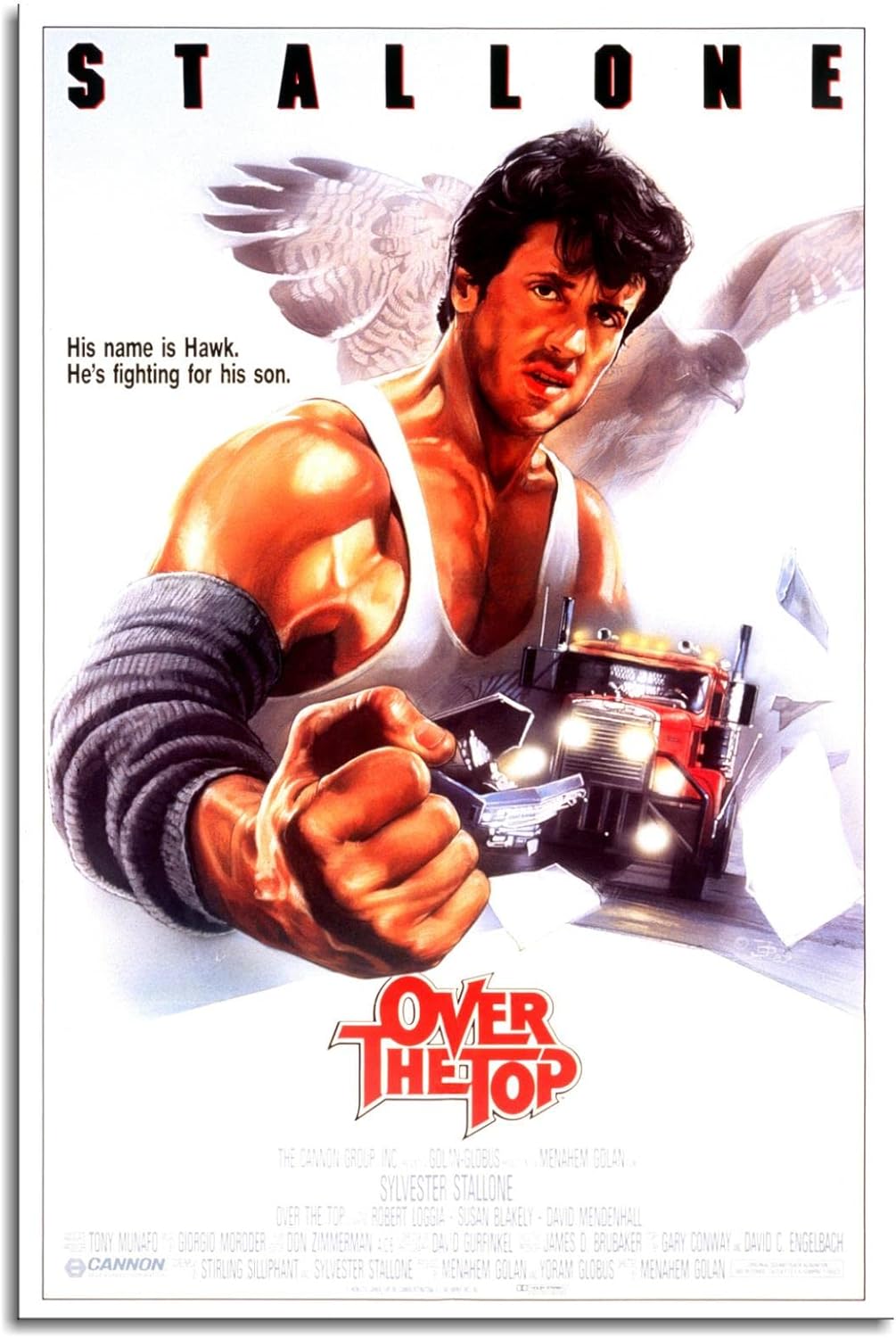 Over The Top Film Posteri Klas - Home Gym Setup incelemesi ve fiyatı