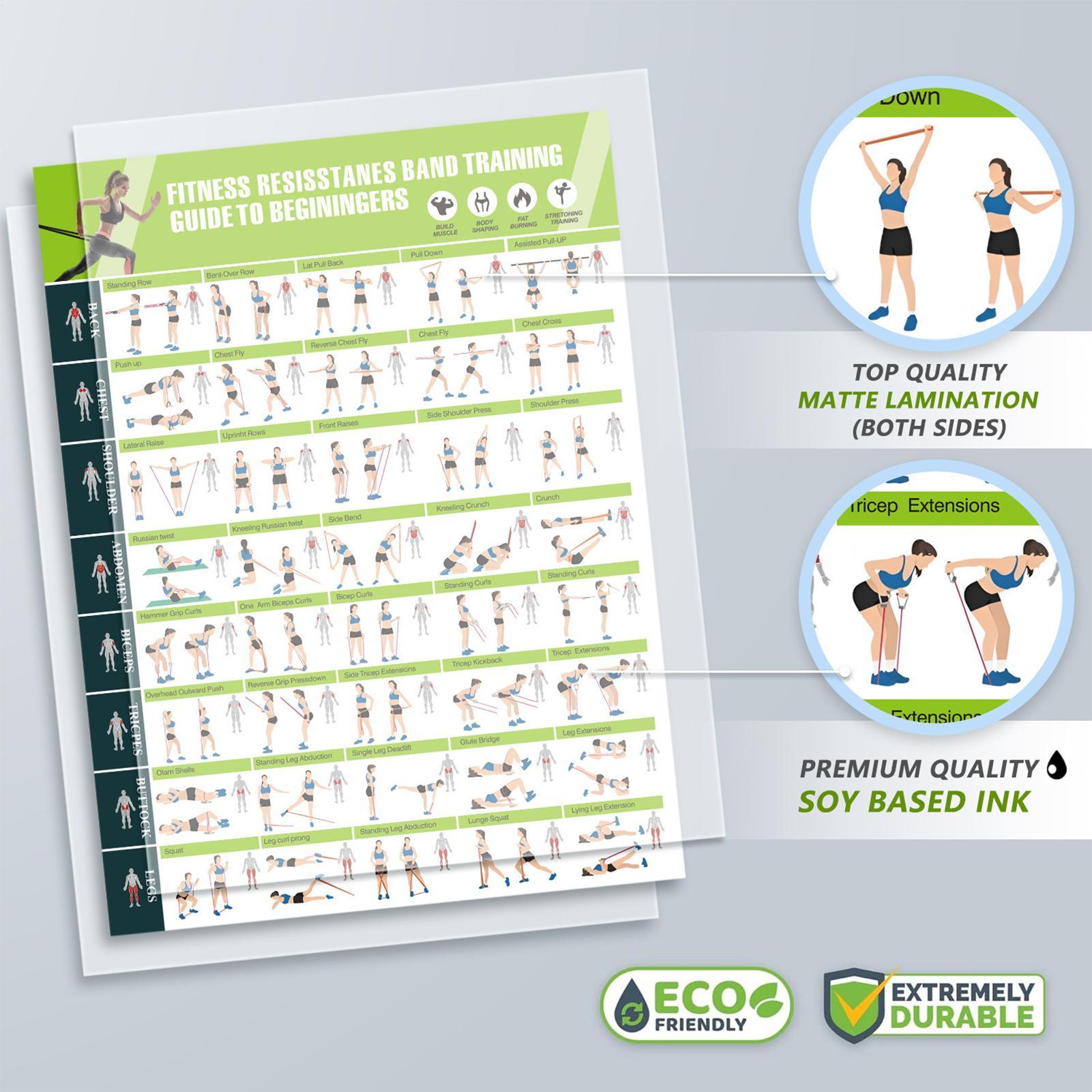 Direnç Bantlı Egzersiz Posterl - Home Gym Guide incelemesi ve fiyatı