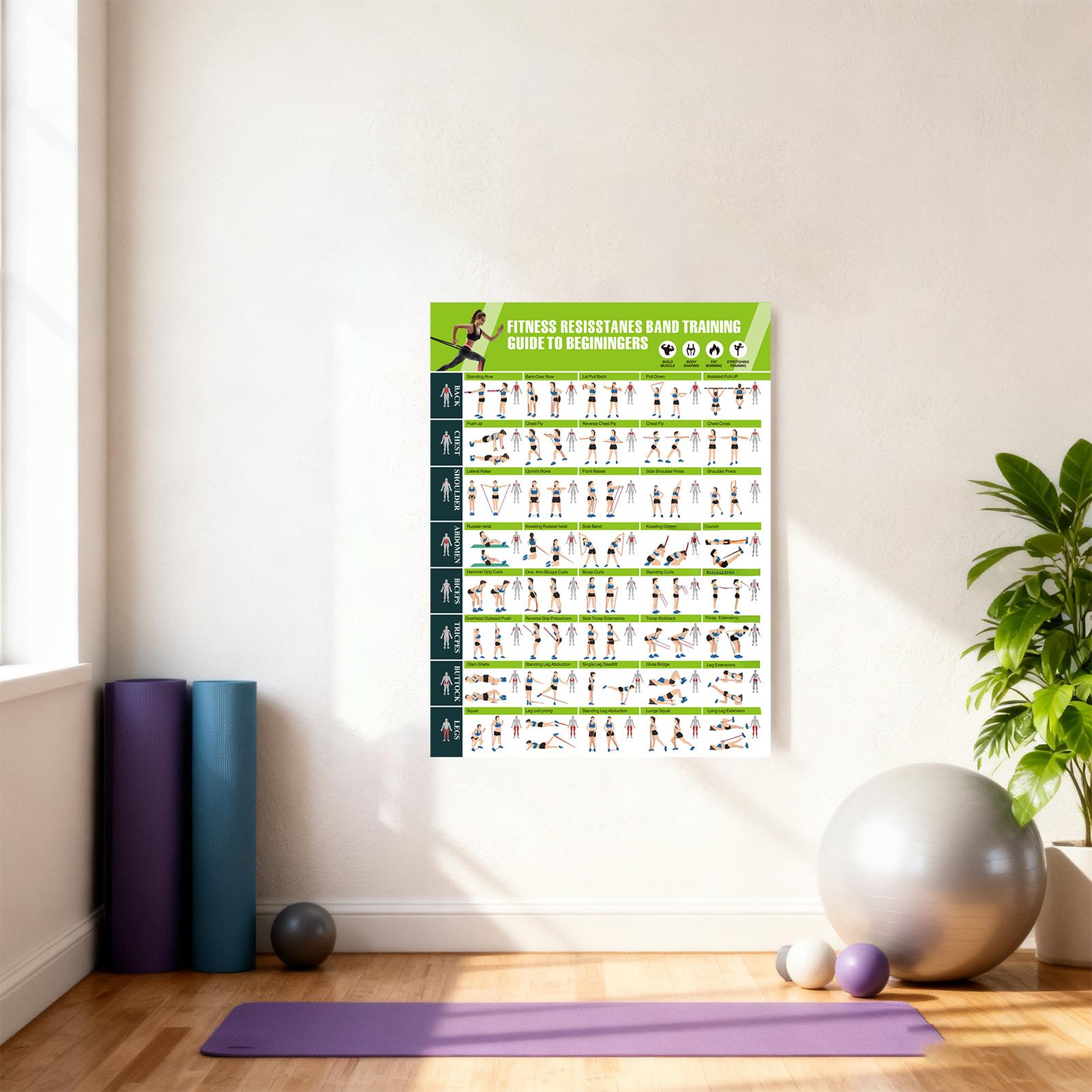 Direnç Bantlı Egzersiz Posterl - Home Gym Guide incelemesi ve fiyatı