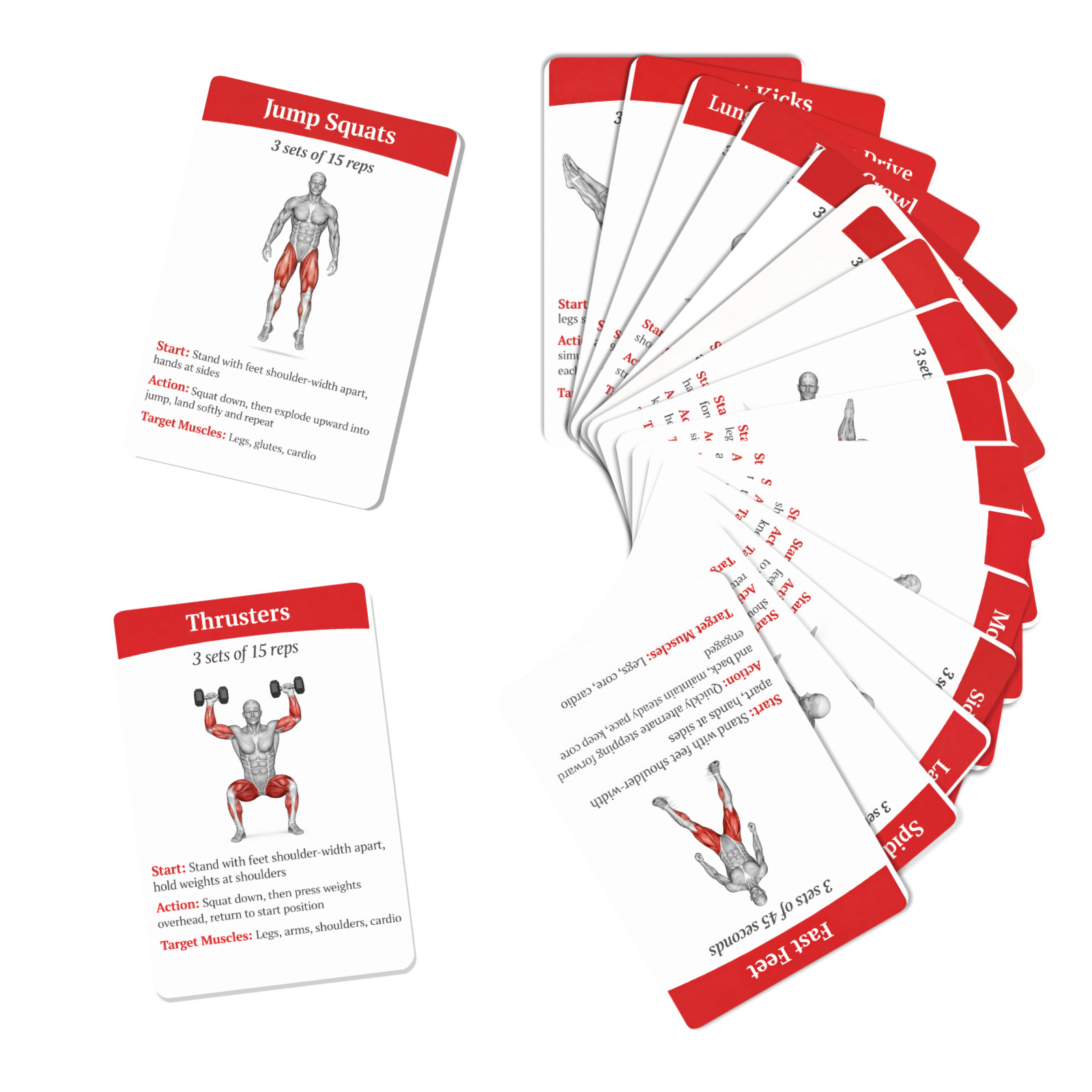 36 Adet Tam Vücut Yağ Yakma Eg - Home Gym Guide incelemesi ve fiyatı